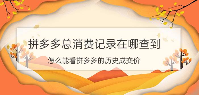 拼多多总消费记录在哪查到 怎么能看拼多多的历史成交价？